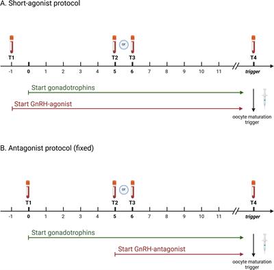 Luteinizing hormone profiles during ovarian stimulation in assisted reproductive treatment